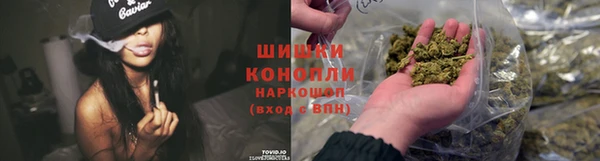 spice Алзамай