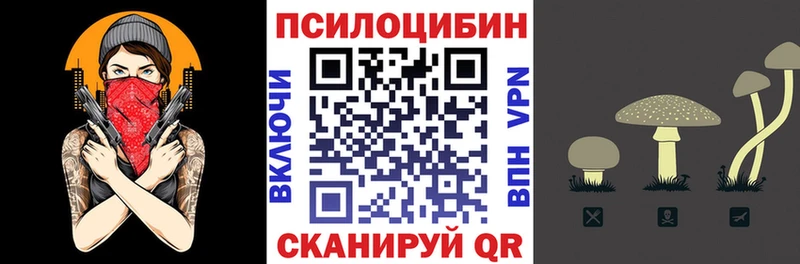купить закладку Ишим Псилоцибиновые грибы Magic Shrooms